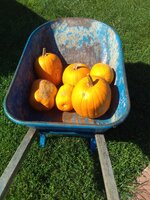 IMG_2554 - Copy.jpg