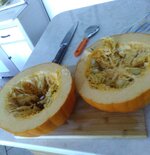 IMG_2564 - Copy.jpg