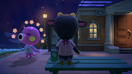 Screenshot 2025-09-16 11.14.13.png