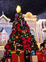 treee-min.jpg
