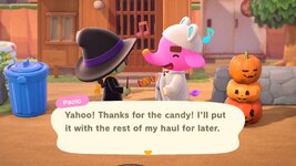 WhatsApp Image 2025-10-31 at 17.33.01 (2).jpeg