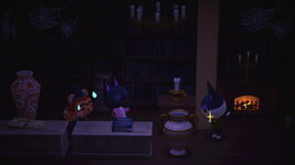 2025092820275300_c - Copy.jpg