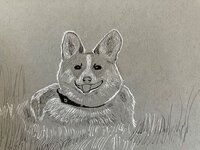 Corgi Sketch in Micron Pen and Gel Pen.jpg