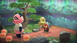 2025111611233700_c - Copy.jpg