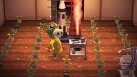 2025111015042200_c - Copy.jpg