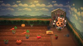 WhatsApp Image 2026-01-05 at 20.37.37 (1).jpeg