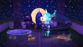 Julian provisions.jpg