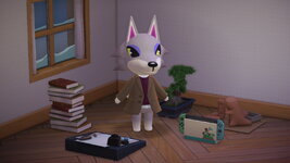 Plentiful Provisions_chere.jpg