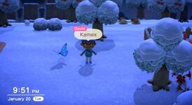 Animal Crossing Photo for Giveaway 1.jpg