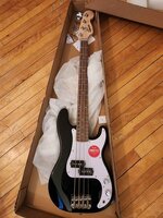 bass (1).jpg