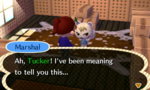 tumblr_n37x4osM9J1sg9tzro1_400.jpg