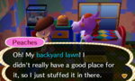 3ds picture (2431).JPG