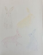 Gesture Drawings of Hares.jpg