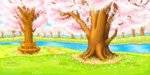 under the sakura tree.jpg