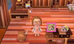 acnL (7).jpg