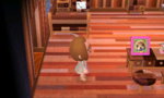 Acnl (3).jpg