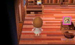 aCNl (2).jpg