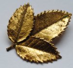 golden_leaf_stock_03_by_ponystock-d40edhd.jpg