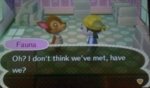 fauna.jpg