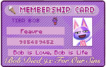 bob.jpg