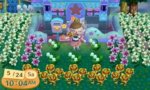 acnl.jpg