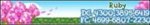 10363742_1422447068031143_911102682_n.jpg 10363742_1422447068031143_911102682_n.jpg
