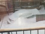 neighbours car.jpg
