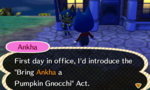 ankha in her cute jacket.JPG