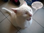 WhitneyMewtwo.jpg