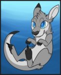 1399441700.ryoxi_little_roo.jpg