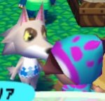stare.jpg