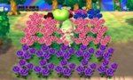 flowers.jpg