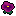pansy-purple.gif pansy-purple.gif