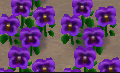 acccb45b0d9394c53a7b8bd2ec32a15b.png