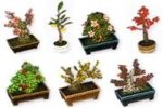 bonsai set.jpg