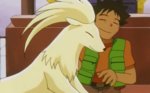 ninetales n brock.jpg ninetales n brock.jpg