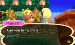 Peaches.JPG