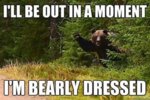 bearly-dressed.jpg