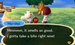 marshal apple 1.JPG