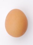 Chicken_egg_2009-06-04.jpg