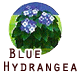 BlueHydran.png