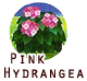 PinkHydran.png