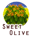 SweetOlive.png