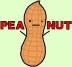 peanut.jpg