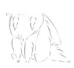 dumb sketch.jpg