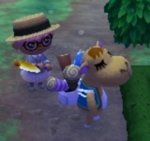 image.jpg