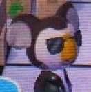 GreaseKoala.jpg GreaseKoala.jpg