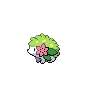 shaymin-land.png