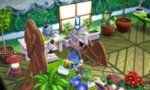 plant.jpg