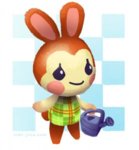 Bunnie.jpg